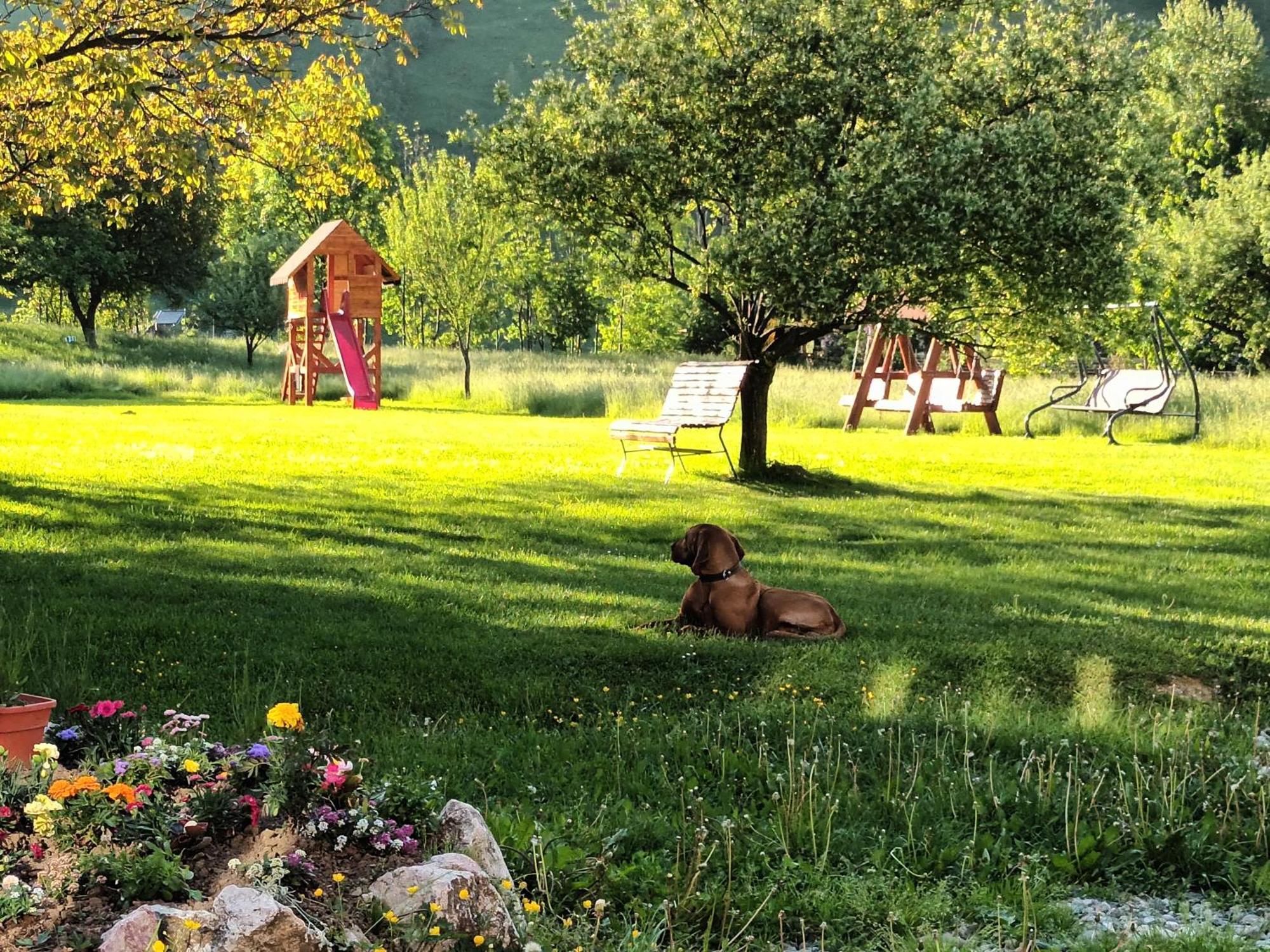 La Remus Villa Moieciu de Jos Exteriör bild